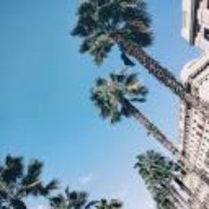 trade post-gray sweatpants